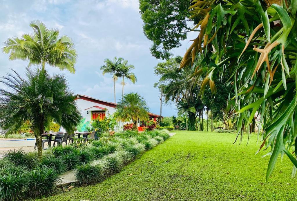 Finca Hotel El Laurel - Parque Del Cafe Montenegro Esterno foto