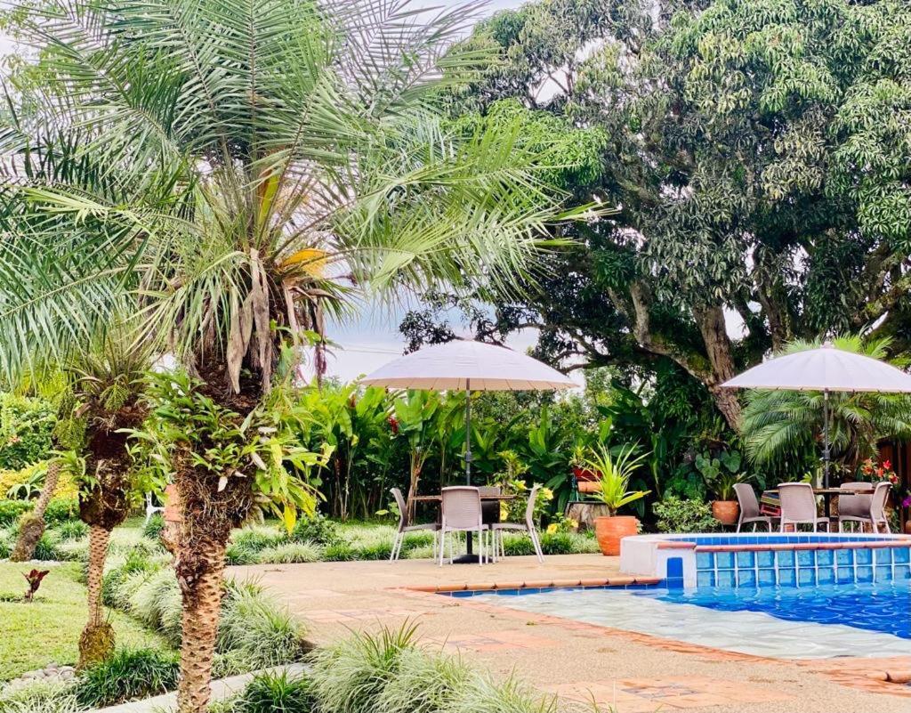 Finca Hotel El Laurel - Parque Del Cafe Montenegro Esterno foto